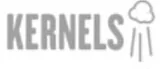 Partner logo 1